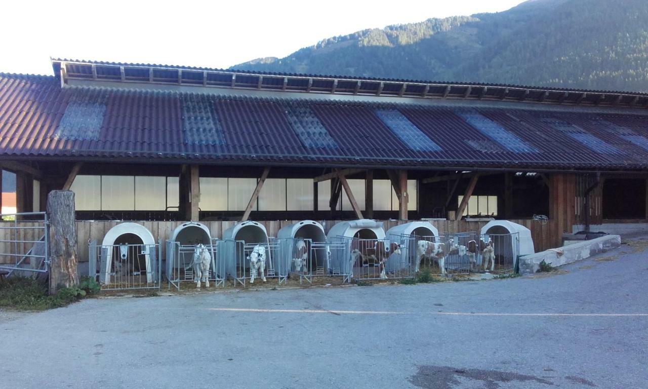 Ferienhaus Reinfrank Sankt Michael im Lungau Bagian luar foto